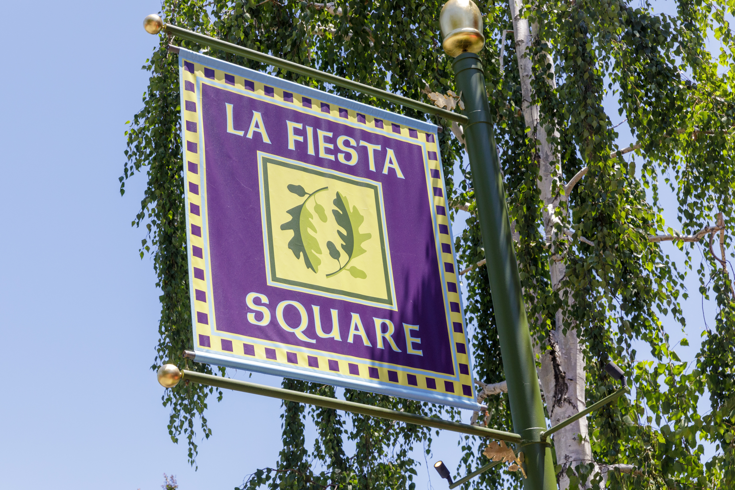 La_Fiesta_Office_For_Lease_Lafayette (2)