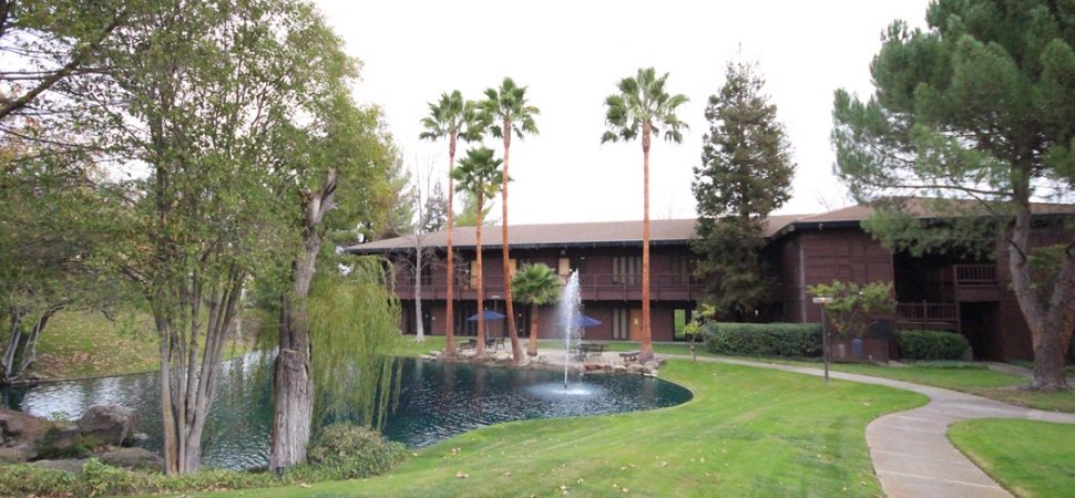 PHEP.11.11.14-10-970×450-1